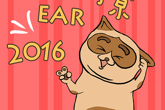 Feidee-CNY 2016